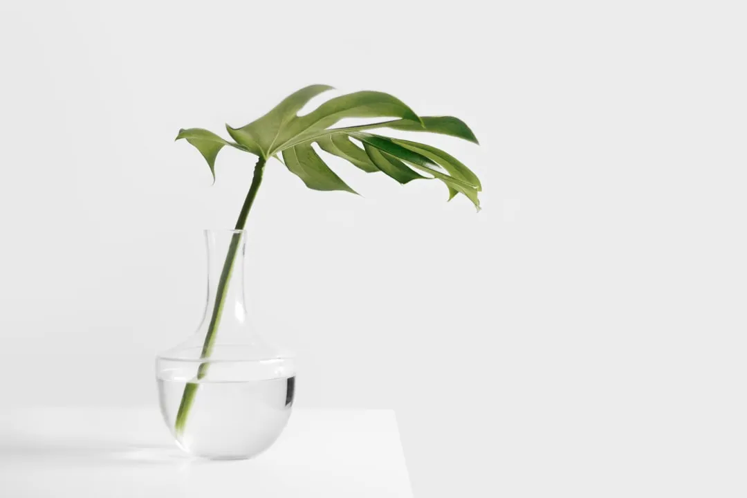10 Best Aesthetic Pomodoro Timers to Boost Your Focus (Free + Minimal)