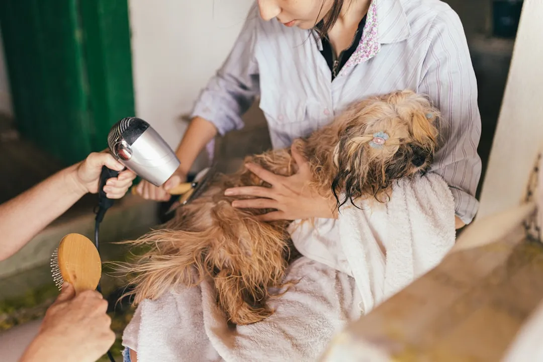 Essential Affordable Grooming Tips Every Man Should Know