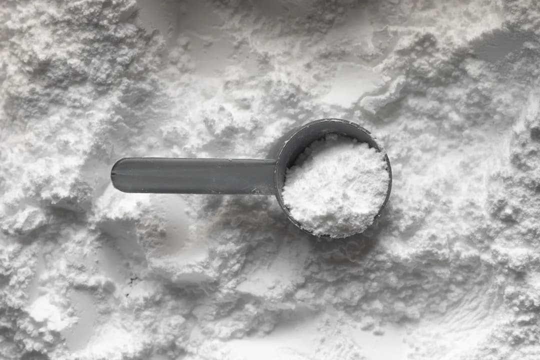 Cover image for Creatine For Beginners