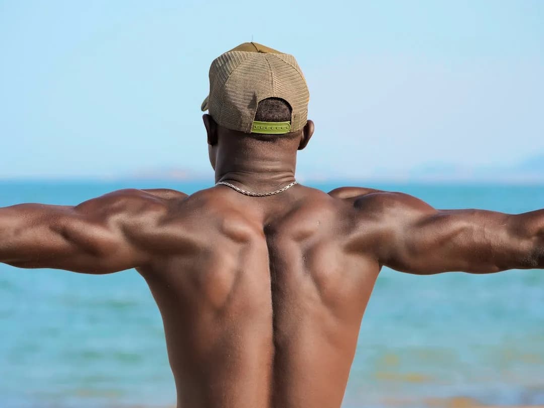 Unlocking Muscle Growth: How Estrogen Blockers Benefit Men