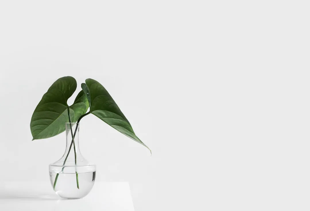 Cover image for Minimalist Wardrobe Essentials For Men